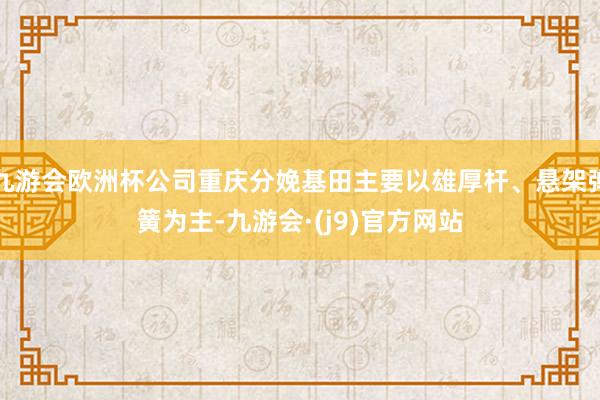 九游会欧洲杯公司重庆分娩基田主要以雄厚杆、悬架弹簧为主-九游会·(j9)官方网站