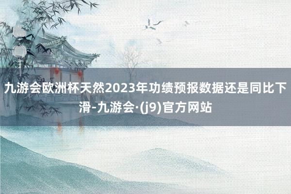 九游会欧洲杯　　天然2023年功绩预报数据还是同比下滑-九游会·(j9)官方网站