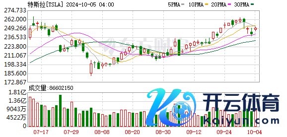 K图 TSLA_0