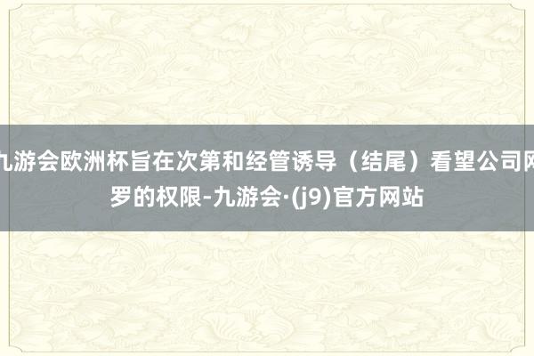 九游会欧洲杯旨在次第和经管诱导（结尾）看望公司网罗的权限-九游会·(j9)官方网站