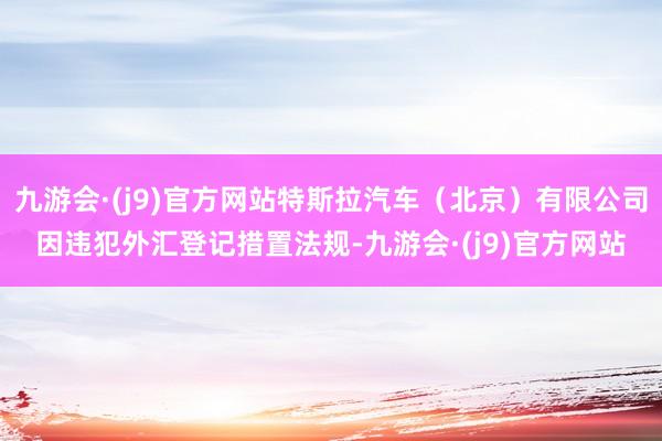 九游会·(j9)官方网站特斯拉汽车（北京）有限公司因违犯外汇登记措置法规-九游会·(j9)官方网站