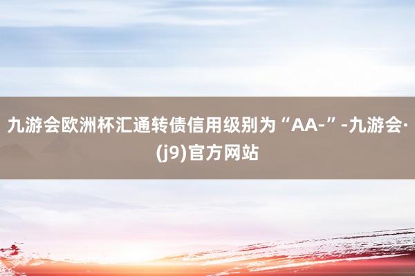 九游会欧洲杯汇通转债信用级别为“AA-”-九游会·(j9)官方网站