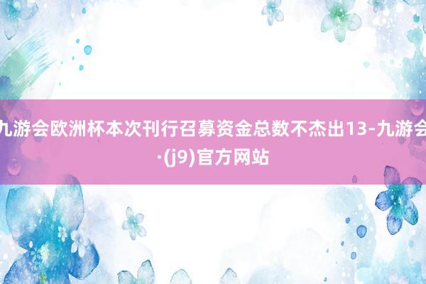 九游会欧洲杯本次刊行召募资金总数不杰出13-九游会·(j9)官方网站