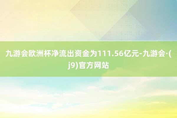 九游会欧洲杯净流出资金为111.56亿元-九游会·(j9)官方网站