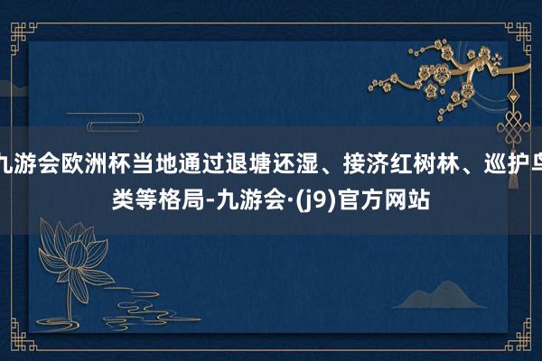 九游会欧洲杯当地通过退塘还湿、接济红树林、巡护鸟类等格局-九游会·(j9)官方网站